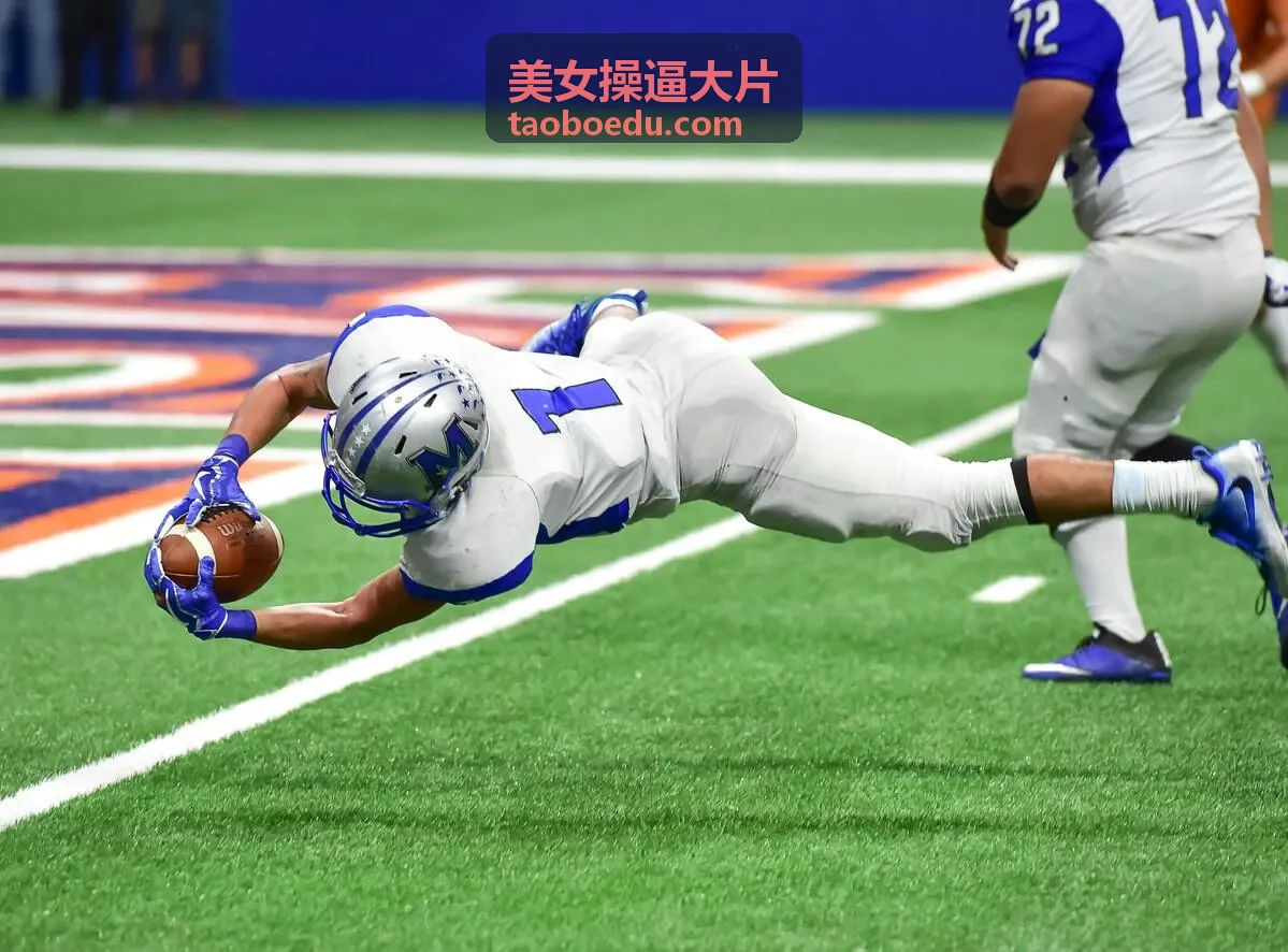 全球精选内容库